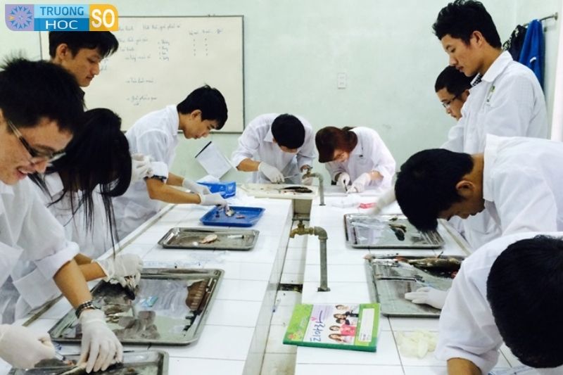 Ngành Bệnh học thủy sản - 7620302