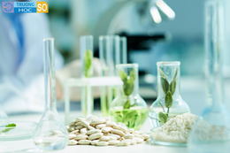 Ngành Sinh học ứng dụng - 7420203