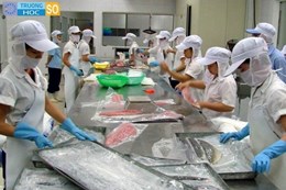 Ngành Công nghệ chế biến thuỷ sản - 7540105