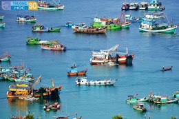 Ngành Khai thác thủy sản - 7620304