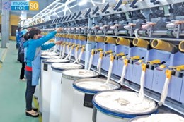 Ngành Công nghệ dệt, may - 7540204