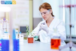 Ngành Khoa học cây trồng - 7620110