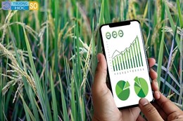 Ngành Nông nghiệp - 7620101