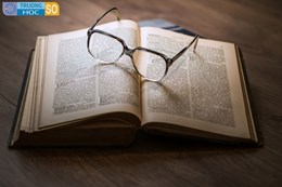 Ngành Văn học - 7229030