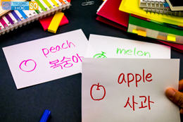 Ngành Ngôn ngữ Hàn Quốc - 7220210